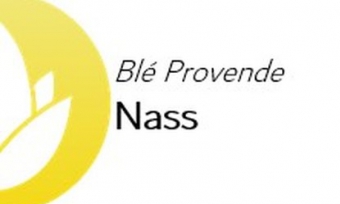 Nass