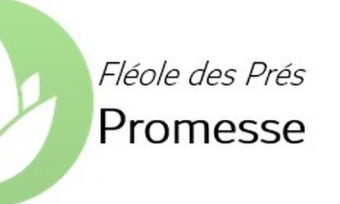 Promesse