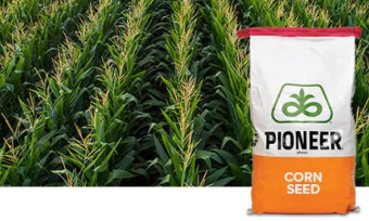 P7389AM