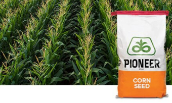 P7574AM