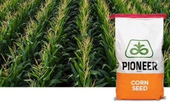 P72068AM